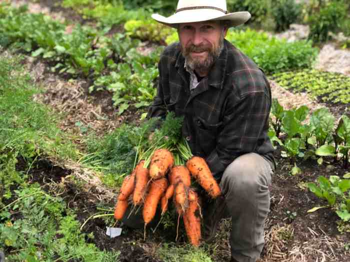 How to plant carrot seeds