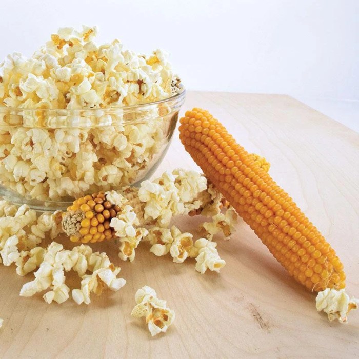 Popcorn maize popping capstone