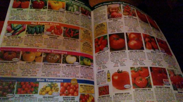 Burgess seed and plant catalog